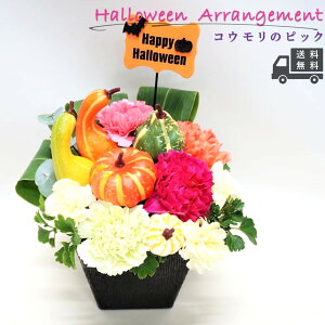 yzyʌz RẼsbN j AWg  t[ Mtg v[g bZ[WJ[h G   p Ԃ̂炵 J[l[V syJ