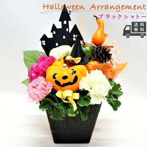 yzyʌz ubNVg[ j AWg  t[ Mtg v[g bZ[WJ[h G   p Ԃ̂炵 J[l[V 