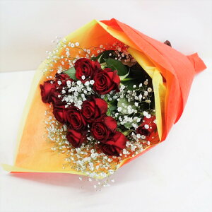 yz bh[Y j AWg  t[ Mtg v[g j   bZ[WJ[h A O[  G   a po Ԃ̂