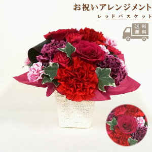 yzbhoXPbg a LO j Ajo[T[ Mtg v[g AWg t[oXPbg JS    ސE  N  bZ[WJ[