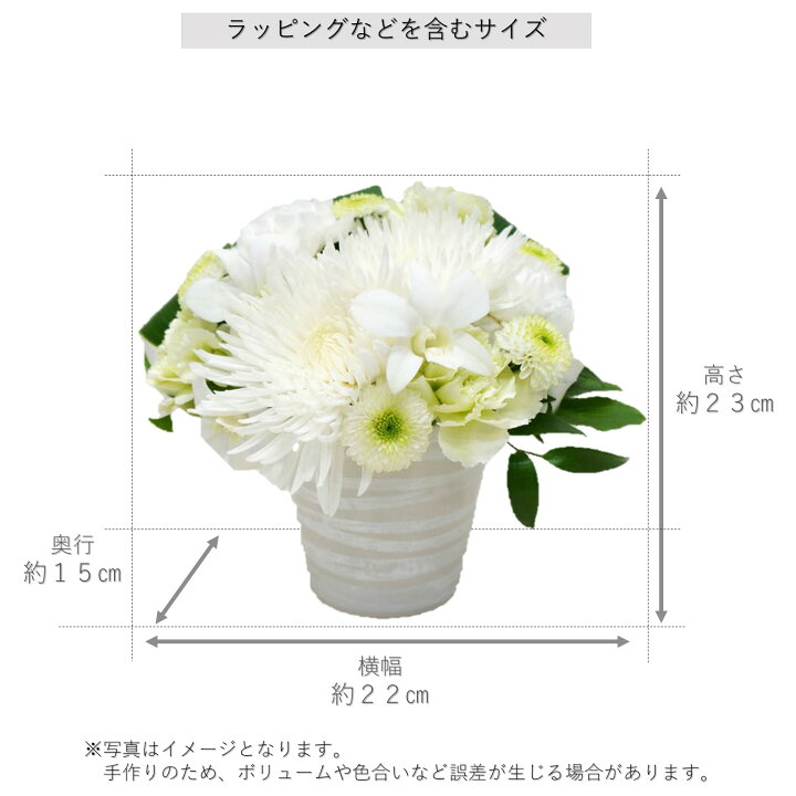 楽天市場 送料無料 ブランシュ お供え 花 アレンジメント お悔み お盆 盆花 初盆 お彼岸 フラワー 供える お供え ユリ 百合 命日 周期法要 葬儀 供養花 供花 仏壇 仏花 線香 メッセージカード 立て札 アナスタシア ピンポンギク カーネーション シンピジューム アイ