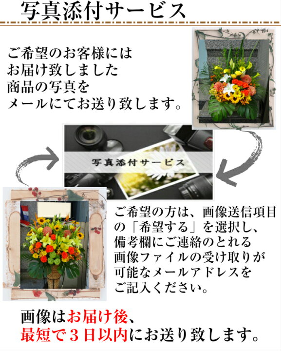 楽天市場】【12時までのご注文で当日中にお届け可能】【楽天一位獲得 