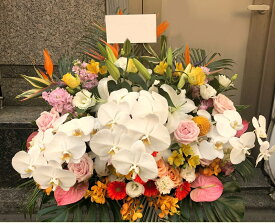 【生花】【フラワーアレンジ】季節のお花を取り入れた、お祝いアレンジメント50000円【即日配送】【立て札・メッセージカード付属】誕生日祝い／結婚祝い／移転祝い／公演・出演祝い／新築・引越し祝い／プレゼント／贈り物