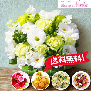 yLO!!z AWg Mtg a  j t[Mtg v[g  yzȏ̃{[Iz  AWgyzzybZ[WJ[