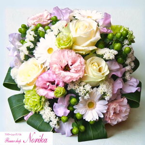  AWg j t[Mtg v[g yzȏ̃{[Iz  G߂̂Ԃꂽ AWgyzzybZ[WJ[htzt[A