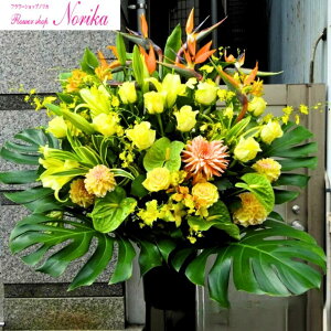 yԁzX^h 1i yДzBƉXzyzzyĎDEbZ[WJ[htzX^h  JXj j  j   a j  ړ]j j 