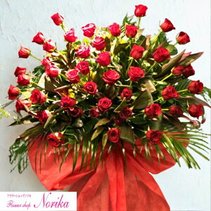 yДzBzyԁz X^h 1i KN yĎDEbZ[WJ[htz RT[g JXj j  j I[vLO ړ]j t[Mtg    