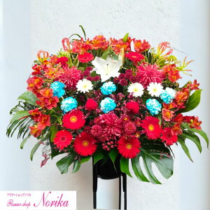 yԁzyДzBƉXzG߂̂Ԃꂽ1iX^hԁyzzyĎDEbZ[WJ[htzJXj ړ]j j  Cu RT[g j a