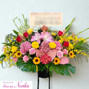 yԁz yДzBƉXz X^h 1i yzzyĎDEbZ[WJ[htzyyzX^h  JXj j  j   a j  ړ]j