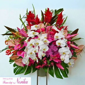 yДzBƉXzG߂̂Ԃꂽ1iX^h yԁzyzzyĎDEbZ[WJ[htzJXj ړ]j j j aj v[g 蕨 