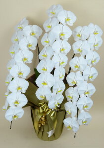 yX[p[SALEI10%OFFzӒ 3{ 42֑O yԁz 傤   j t[ j JXj I[vj ړ]j j j Wj W \ a