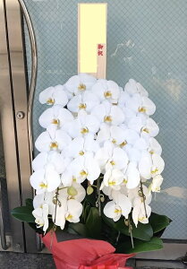 yX[p[SALEI20%OFFzӒ 5{ 60֑O yԁz 傤   j t[ j JXj ړ]j j j Wj W \ a JX LO 