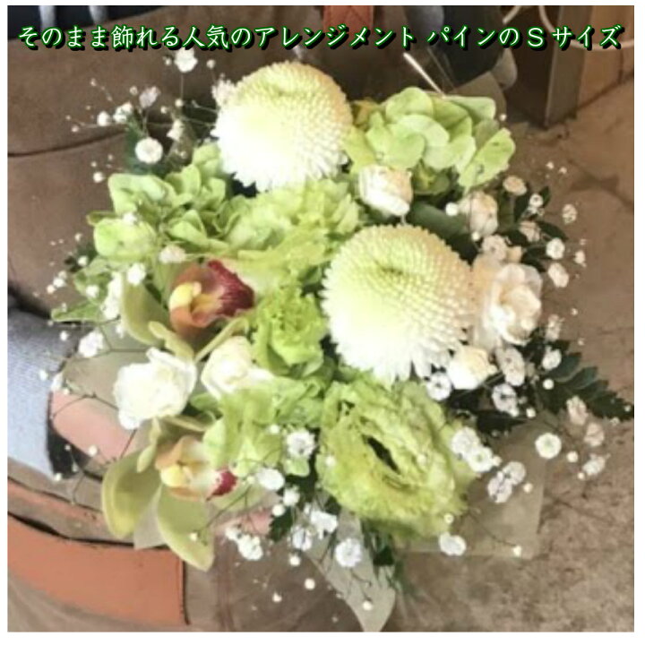 楽天市場 アレンジメント お供え 送料無料 ギフト 花 ピンク 白 アレンジメントフラワー 生花 初盆 お供え花 フラワーアレンジメント 犬 おしゃれ 線香 あす楽 アレンジ お盆 ひまわり 49 日 法要 命日 ペット 3回忌 本日 オレンジ 線香セット 北海道 お供え物 切り花 つぼみ