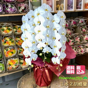 y3{Ӓ z Ӓ Ԕ   ؂ŏiȔA @ l\  O   䋟 dp @v 蕨 z    zCg