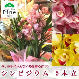 楽天市場 退職祝い 女性 鉢花 花 観葉植物 花 ガーデン Diyの通販