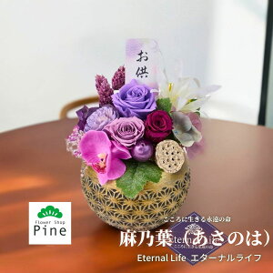 yӒ iP[X蕧 Ttî́jz vU[uht[ dp ͂Ȃ  AWg   Mtg @v l\  蕨 i dp 