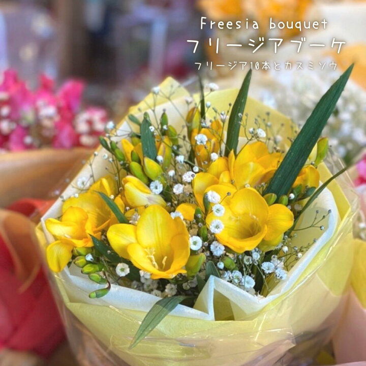楽天市場 フリージア 花束 フラワーギフト 誕生日 ギフト 送料無料 花 生花 切り花 お祝い Seika 退職祝い プレゼント 入学祝 翌日配送 ブーケ 即日 かすみ草 4月 宅配 切花 自宅用 あす楽 入学式 あす楽対応商品 退職 誕生日プレゼント 米寿 男 お花 花束プレゼント 楽天市場 フリージア 花束 フラワーギフト 誕生日 ギフト 送料無料 花 生花 切り花 お祝い Seika 退職祝い プレゼント 入学祝 翌日配送 ブーケ 即日 かすみ草 4月 宅配 切花 自宅用 あす楽 入学式 あす楽対応商品 退職 誕生日プレゼント 米寿 男 お花 花束プレゼント