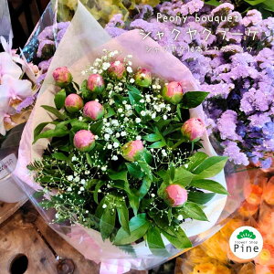 シャクヤク 生花の人気商品 通販 価格比較 価格 Com