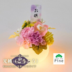 y~jdɍœK ₳sN̕ iƂjz vU[uht[ dp ͂Ȃ  LEDCgt AWg    Mtg @v  蕨 
