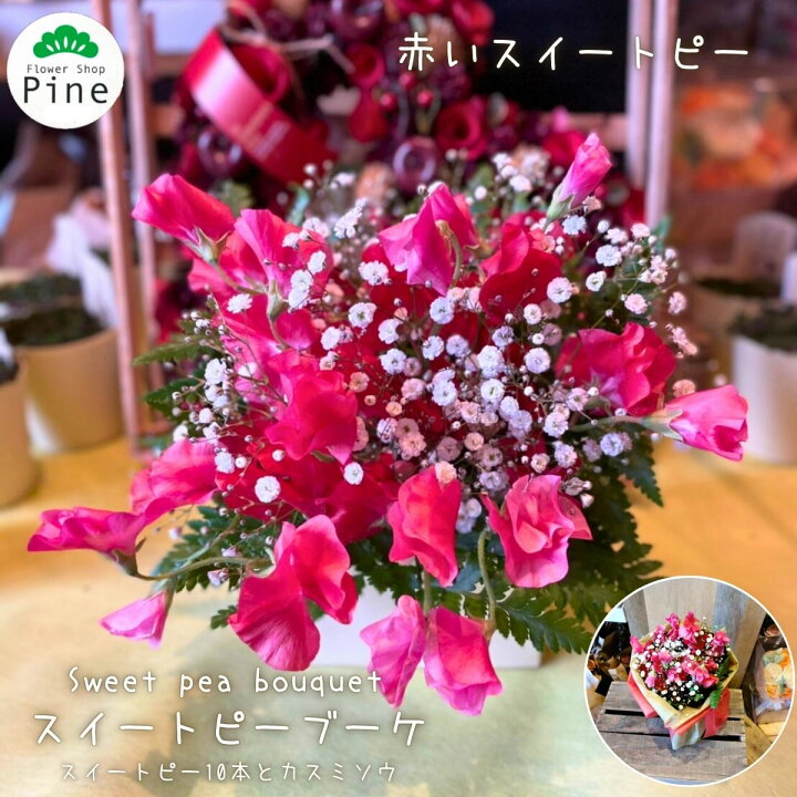 楽天市場 スイートピー 花束 誕生日 送料無料 ギフト クリスマス 切り花 切花 生花 宅配 花 Hana 花束プレゼント 自宅用 お花 退職祝い フラワーショップ パイン Tokyo 楽天市場 スイートピー 花束 誕生日 送料無料 ギフト クリスマス 切り花 切花 生花 宅配 花 Hana 花束プレゼント 自宅用 お花 退職祝い フラワーショップ パイン Tokyo