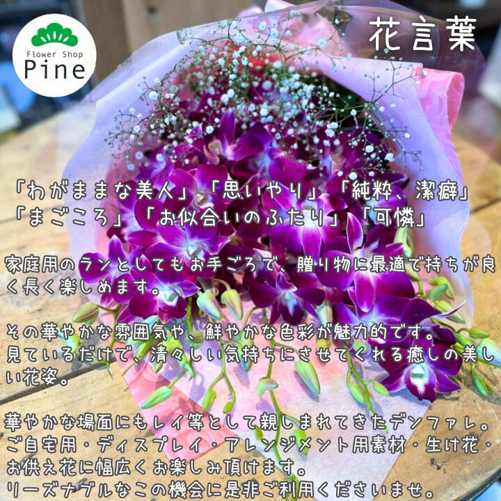 楽天市場 デンファレ の 花束 クリスマス 花 赤 宅配 おすすめ 花屋 おしゃれ フラワーショップパイン 立石 東京都葛飾区 誕生日プレゼント 女性 友達 クリスマスプチギフト 大人 生花店 生花 長持ち 通販 切り花 切花 東京 プレゼント 画像 お疲れ様 ギフト 発表会 ブーケ 楽天市場 デンファレ の 花束 クリスマス 花 赤 宅配 おすすめ 花屋 おしゃれ フラワーショップパイン 立石 東京都葛飾区 誕生日プレゼント 女性 友達 クリスマスプチギフト 大人 生花店 生花 長持ち 通販 切り花 切花 東京 プレゼント 画像 お疲れ様 ギフト 発表会 ブーケ