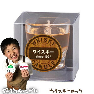 yݕDLhz r[EECXL[ER[q[ { 낤 Mtg   49 3 @v dp  킢 G v`Mtg 