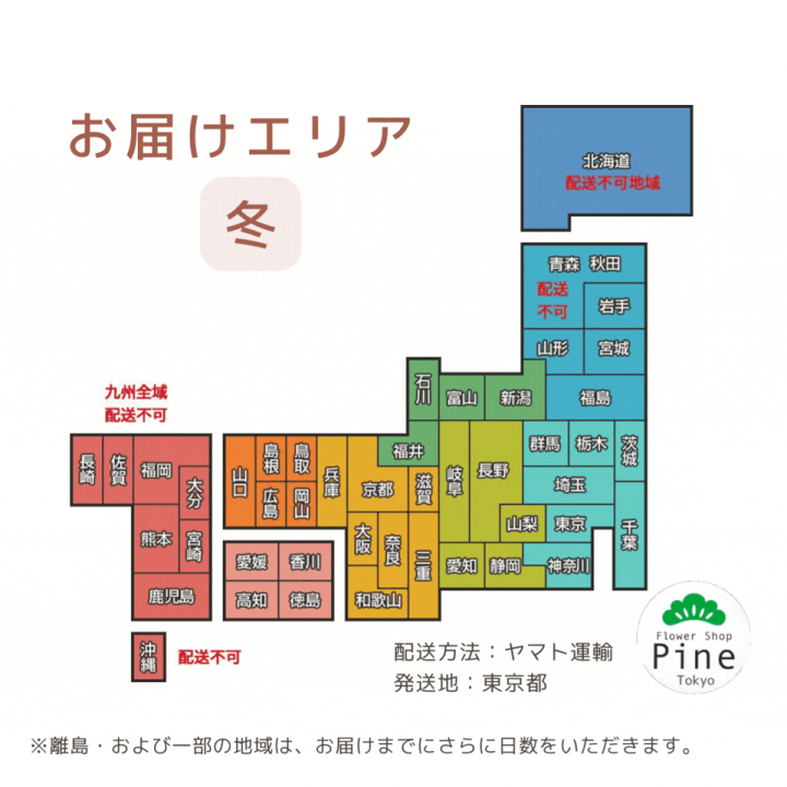 楽天市場 シンビジウム 5本 冬 の 蘭 花 ギフト 誕生日 鉢植え フラワーギフト 送料無料 プレゼント 女性 50代 40代 シンビジューム 鉢 宅配 グリーン 5本立 誕生日プレゼント 女友達 屋外 室内 長持ち 玄関 米寿 お祝い 祖母 祖父 おじいちゃん 黄色