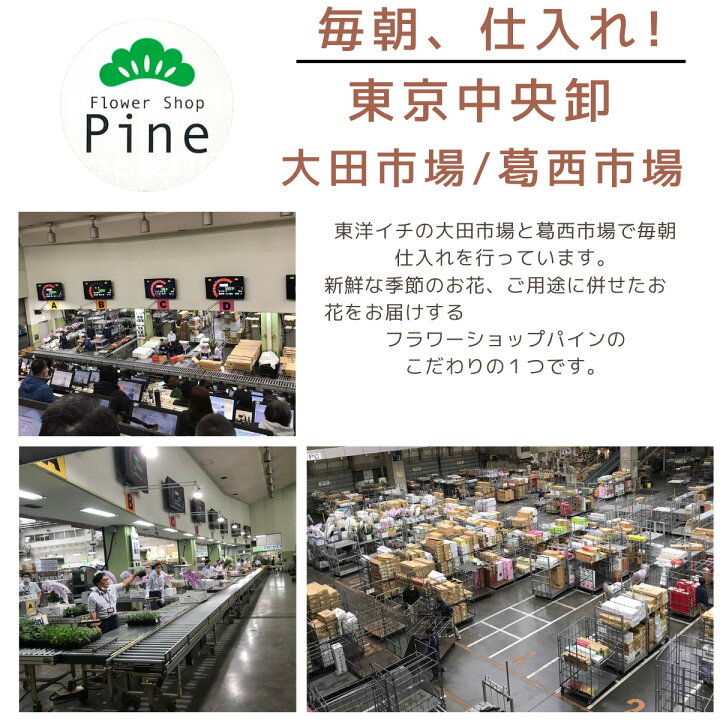 楽天市場 花束 誕生日 ギフト バラ 卒業式 花 Hana はな 生花 チューリップ 花束プレゼント フリージア 宅配 切り花 切花 自宅用 あす楽対応商品 あすラク あす楽 プレゼント ブーケ フラワー 女性 かすみ草 白 お花 フラワーショップ パイン Tokyo