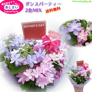 紫陽花 鉢 生花の人気商品 通販 価格比較 価格 Com 紫陽花 鉢 生花の人気商品 通販 価格比較 価格 Com