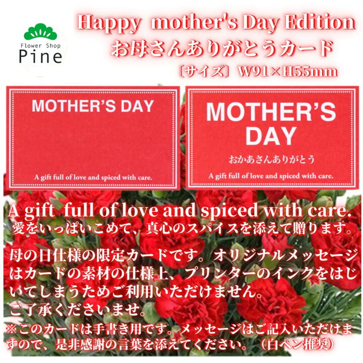楽天市場 カーネーション 鉢植え 5号 選べる カラー3色 母の日 ピンク 鉢植 生花 ギフト 鉢 プレゼント 花 モダン 母の日ギフト 花鉢 送料無料 母の日花 母の日花ギフト お祝い 毎年 咲く 宅配 母の日鉢植え メッセージカード お花 フラワーギフト フラワーショップ
