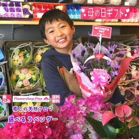 楽天市場 鉢花 植物の本数51本 開花時期秋 花 観葉植物 花 ガーデン Diy の通販