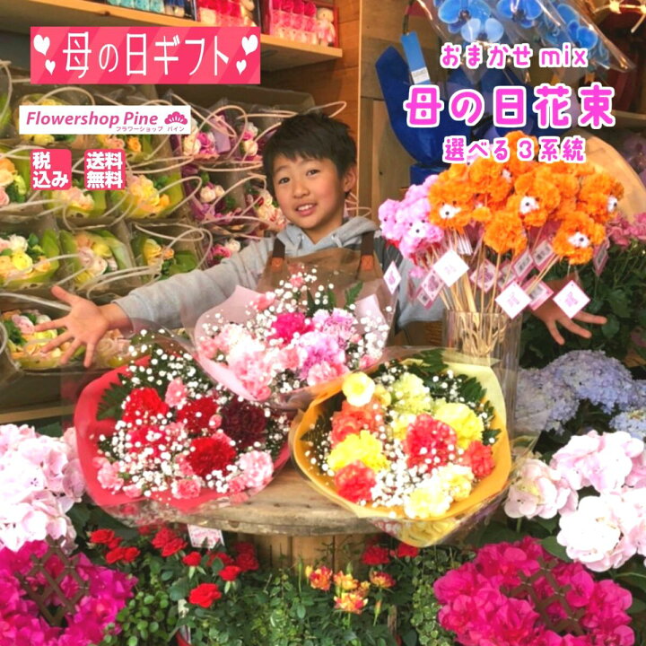 楽天市場 母の日 花束 カーネーション カラフル Mix 選べる3系統 プレゼント 早割 母の日ギフト 送料無料 花 ギフト 花束プレゼント 早割り ミックス 宅配 生花 母の日カーネーション送料無料 可愛い 切り花 母の日 花 おしゃれ おまかせ お祝い Seika フラワー