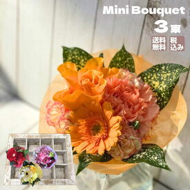 楽天市場 ミニブーケ 500 円 花 ガーデン Diy の通販