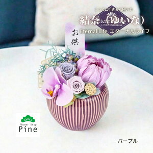 yIׂ3F P[X蕧 ށi䂢ȁjz vU[uht[ dp ͂Ȃ  AWg    Mtg @v  蕨 i sN p[v O[