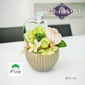 yIׂ3F P[X蕧 ށi䂢ȁjz vU[uht[ dp ͂Ȃ  AWg    Mtg @v  蕨 i sN p[v O[