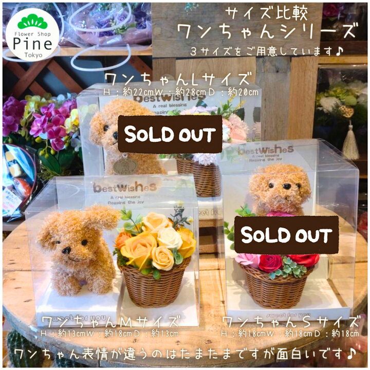 楽天市場 ソープフラワー 犬 L クリアケース入 花束 卒業 フラワーギフト 送料無料 バラ 卒業式 ぬいぐるみ ブーケ ミニブーケ 誕生日 ソープフラワーギフト 先生 造花 宅配 花 メッセージ ギフト 卒業祝い おしゃれ シャボンフラワー シャボンフラワーブーケ