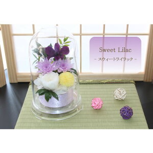 yz vU[uht[    ފ d ͂Ȃ     ~ V~ ~ ފ ybguU[ht[ ԃh[ eBi