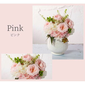 vU[uht[ ̓ |bgAW ̓  j ސEj ʉ Vzj JXj a CeA j ʐ^