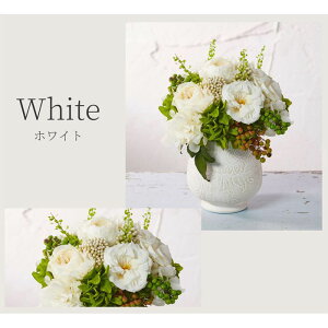 vU[uht[ ̓ |bgAW ̓  j ސEj ʉ Vzj JXj a CeA j ʐ^