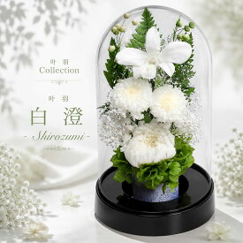 【アフターセル開催中】仏花 プリザーブドフラワー お供え お花 お悔やみ お彼岸 仏壇 枯れない 仏花 お供え 花 お悔やみ お盆 新盆 初盆 お彼岸 ペットブリザードフラワー 仏花ドーム とあ