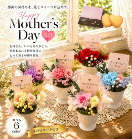 【デパ地下Sewwtセット】プリザーブドフラワー お菓子セット 母の日 ギフト カーネーション プレゼント アレンジメント ハーバリウムオイル 母の日 誕生日 送別会 父の日