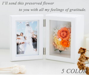 vU[uht[@ʐ^ a LO ʐ^T[rX ʐ^