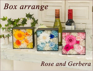 vU[uht[ {bNXAW K[x [Y a Mtg