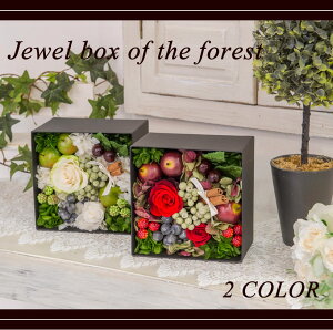 �y�A�t�^�[�Z�[���J�Ò��z�v���U�[�u�h�t�����[ �{�b�N�X�A�����W �X�̕�Δ� �a���� �C���e���A ���j�� �V�z�j��