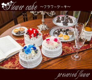 yyΉzvU[uht[ P[LAW aP[L av[g o[Xf[P[L 킢 v[g Mtg