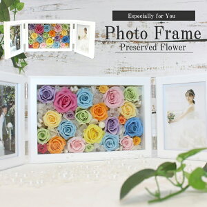 y񎦉i肨ɁIzyzvU[uht[ ʐ^  j ސEj ʉ Vzj JXj a CeA j ʐ^