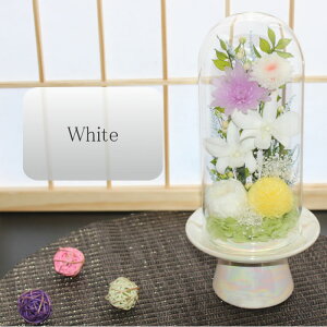 yz vU[uht[    ފ d ͂Ȃ     ~ V~ ~ ފ ybguU[ht[ ԃh[ ݂