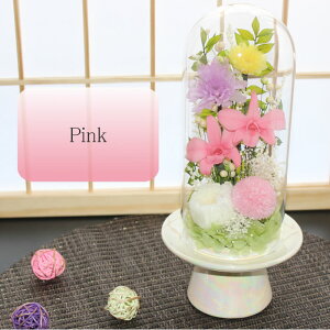 yz vU[uht[    ފ d ͂Ȃ     ~ V~ ~ ފ ybguU[ht[ ԃh[ ݂