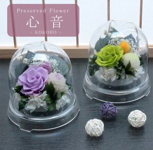  vU[uht[    ފ d ͂Ȃ     ~ V~ ~ ފ ybguU[ht[ ԃh[  S