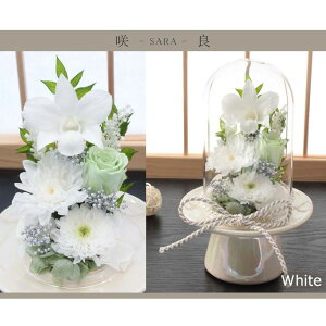 y΁z vU[uht[     l\ d ͂Ȃ     ~ V~ ~ ފ ybguU[ht[ ԁ@